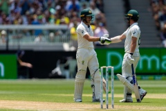 MELBOURNE, AUSTRALIA - DECEMBER 27: Tim Paine of Australia and Travis Head of Australia make 50 runs during day two of the Second Test match in the series between Australia and New Zealand at The Melbourne Cricket Ground on December 27, 2019 in Melbourne, Australia. (Photo by Speed Media/Icon Sportswire)