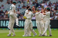 MELBOURNE, AUSTRALIA - DECEMBER 28: Australia team celebrate as they catch Ross Taylor of New Zealand out during day three of the Second Test match in the series between Australia and New Zealand at The Melbourne Cricket Ground on December 28, 2019 in Melbourne, Australia. (Photo by Speed Media/Icon Sportswire)