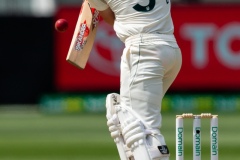 MELBOURNE, AUSTRALIA - DECEMBER 28: 
David Warner of Australia bats  during day three of the Second Test match in the series between Australia and New Zealand at The Melbourne Cricket Ground on December 28, 2019 in Melbourne, Australia. (Photo by Speed Media/Icon Sportswire)