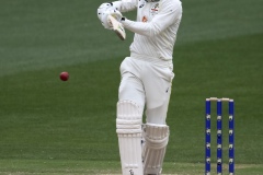 MELBOURNE, AUSTRALIA - DECEMBER 28: Alex Carey of Australia bats during the Boxing Day Test Match between Australia and South Africa at The Melbourne Cricket Ground on December 27, 2022 in Melbourne, Australia. (Photo by Dave Hewison/Speed Media/Icon Sportswire)