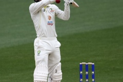 MELBOURNE, AUSTRALIA - DECEMBER 28: Alex Carey of Australia bats during the Boxing Day Test Match between Australia and South Africa at The Melbourne Cricket Ground on December 27, 2022 in Melbourne, Australia. (Photo by Dave Hewison/Speed Media/Icon Sportswire)