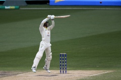 MELBOURNE, AUSTRALIA - DECEMBER 28: Alex Carey of Australia bats during the Boxing Day Test Match between Australia and South Africa at The Melbourne Cricket Ground on December 27, 2022 in Melbourne, Australia. (Photo by Dave Hewison/Speed Media/Icon Sportswire)