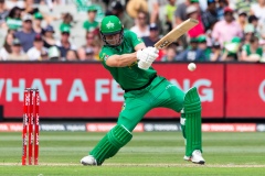 MELBOURNE, AUSTRALIA - JANUARY 18: Seb Gotch of Melbourne Stars bats during the Big Bash League cricket match between Melbourne Stars and Perth Scorchers at The Melbourne Cricket Ground on January 18, 2020 in Melbourne, Australia. (Photo by Speed Media/Icon Sportswire)